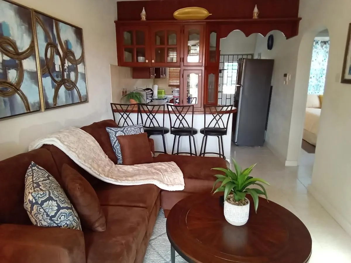 Jazz Apartment Christ Church